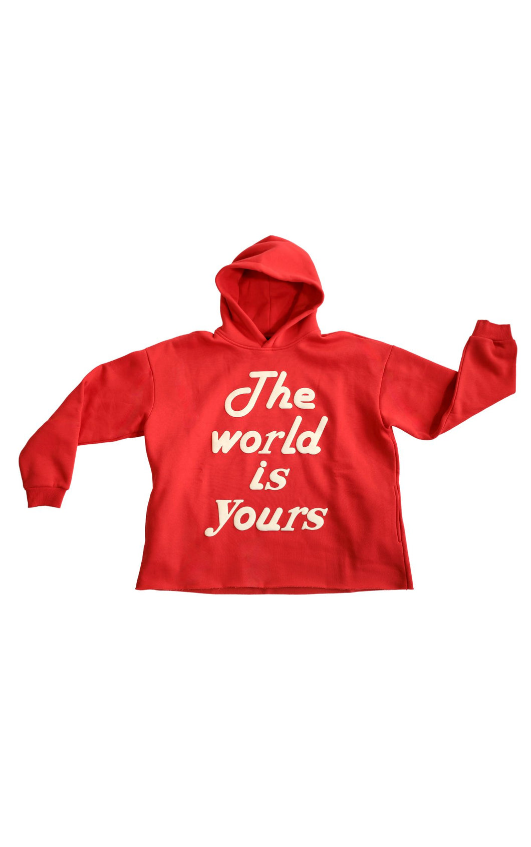The World Is Yours Hoodie - Red
